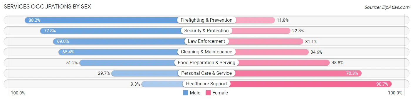Services Occupations by Sex in Zip Code 89002