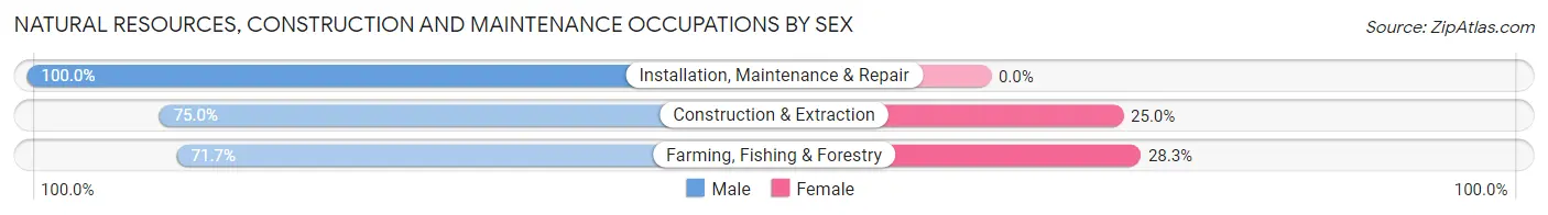 Natural Resources, Construction and Maintenance Occupations by Sex in Zip Code 89010