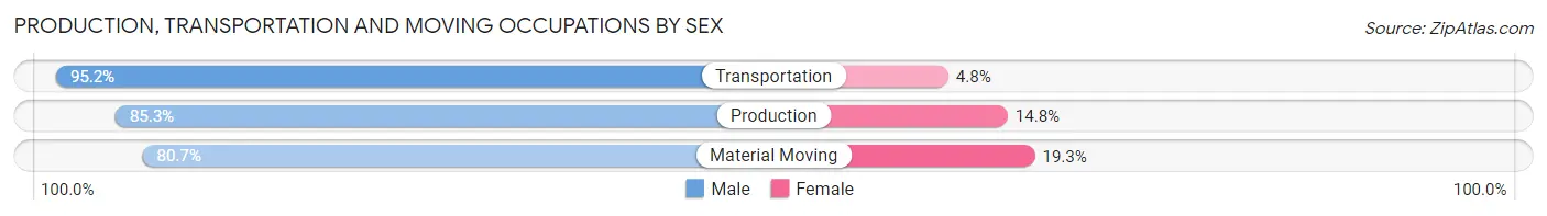 Production, Transportation and Moving Occupations by Sex in Zip Code 89113