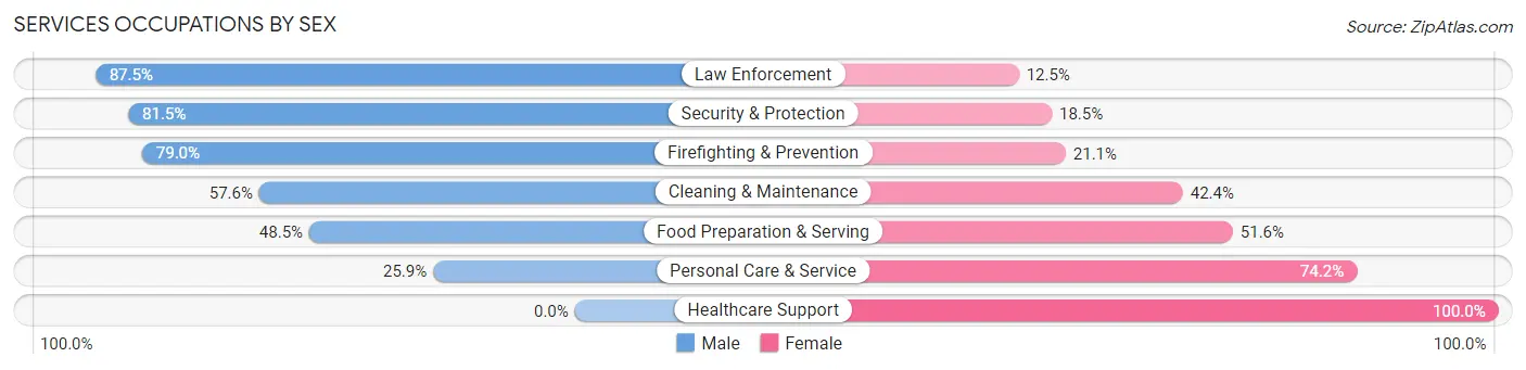 Services Occupations by Sex in Zip Code 89134