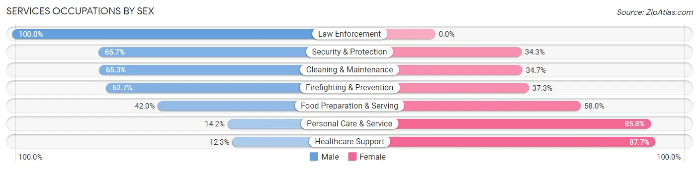 Services Occupations by Sex in Zip Code 89433
