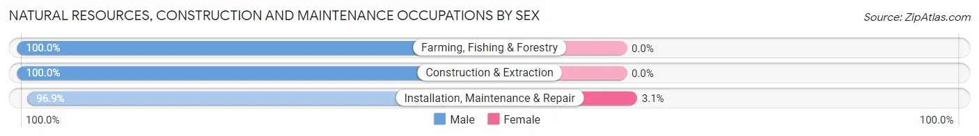 Natural Resources, Construction and Maintenance Occupations by Sex in Zip Code 90504