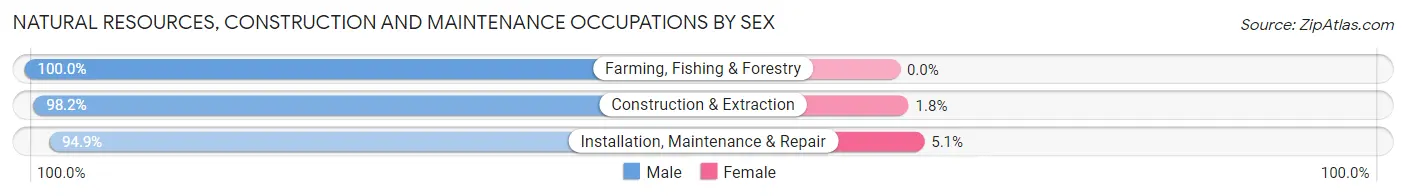 Natural Resources, Construction and Maintenance Occupations by Sex in Zip Code 91350
