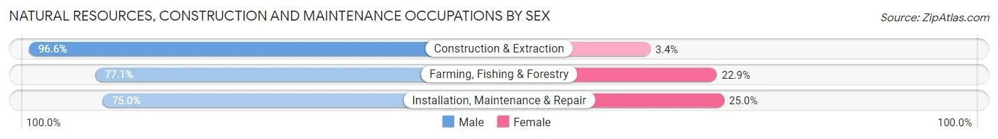 Natural Resources, Construction and Maintenance Occupations by Sex in Zip Code 92118