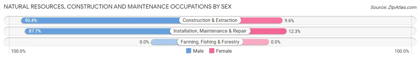 Natural Resources, Construction and Maintenance Occupations by Sex in Zip Code 92128