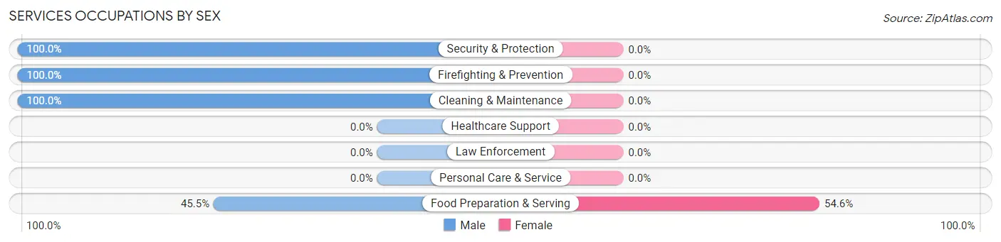 Services Occupations by Sex in Zip Code 92333