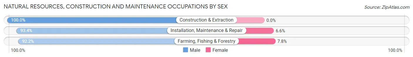 Natural Resources, Construction and Maintenance Occupations by Sex in Zip Code 93312