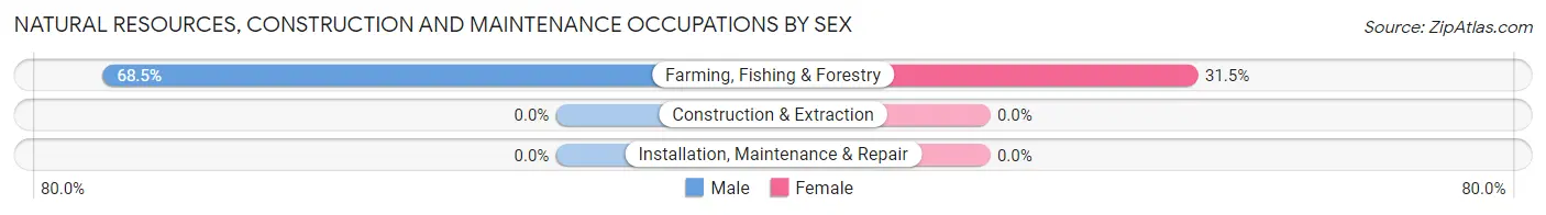 Natural Resources, Construction and Maintenance Occupations by Sex in Zip Code 93670