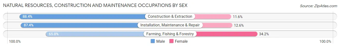 Natural Resources, Construction and Maintenance Occupations by Sex in Zip Code 93703