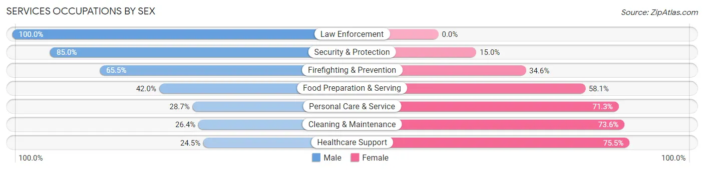 Services Occupations by Sex in Zip Code 94132
