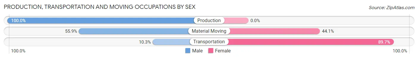 Production, Transportation and Moving Occupations by Sex in Zip Code 94305
