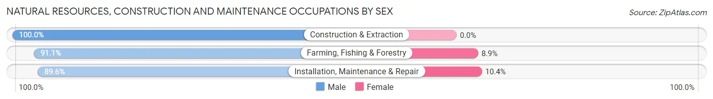Natural Resources, Construction and Maintenance Occupations by Sex in Zip Code 94519