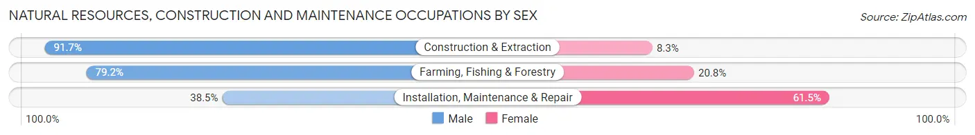 Natural Resources, Construction and Maintenance Occupations by Sex in Zip Code 94708