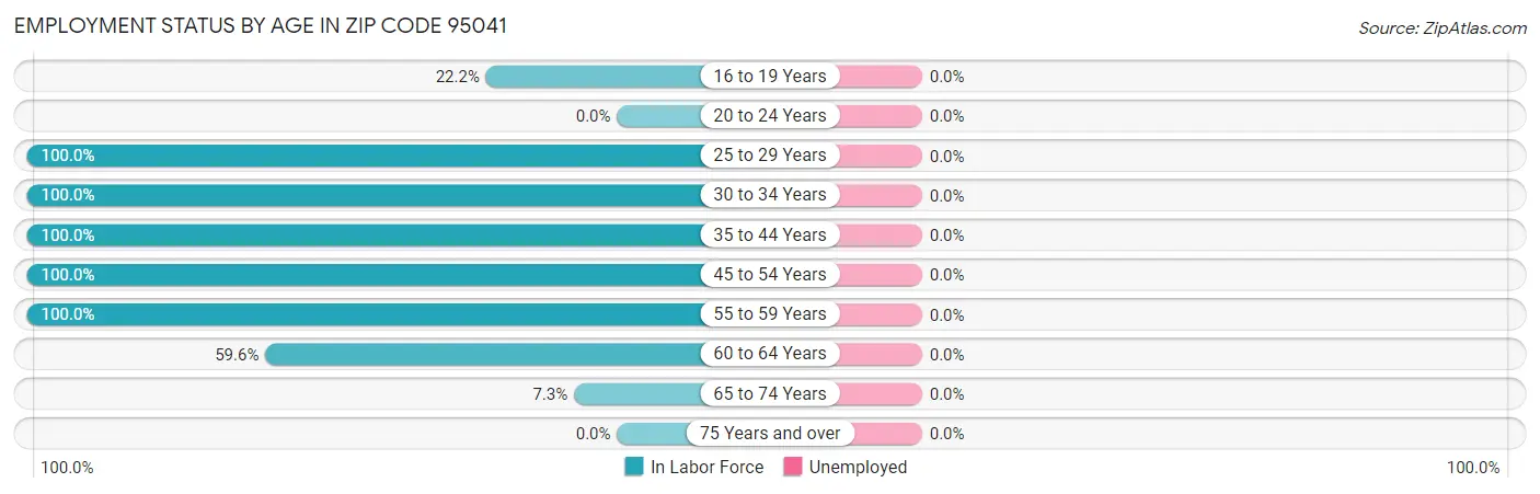 Employment Status by Age in Zip Code 95041