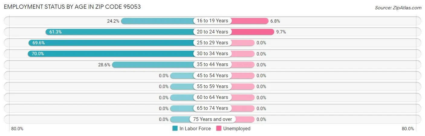 Employment Status by Age in Zip Code 95053