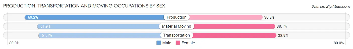 Production, Transportation and Moving Occupations by Sex in Zip Code 95070