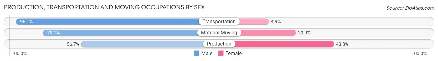 Production, Transportation and Moving Occupations by Sex in Zip Code 95131