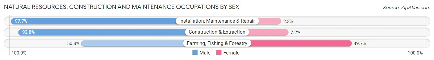 Natural Resources, Construction and Maintenance Occupations by Sex in Zip Code 95204