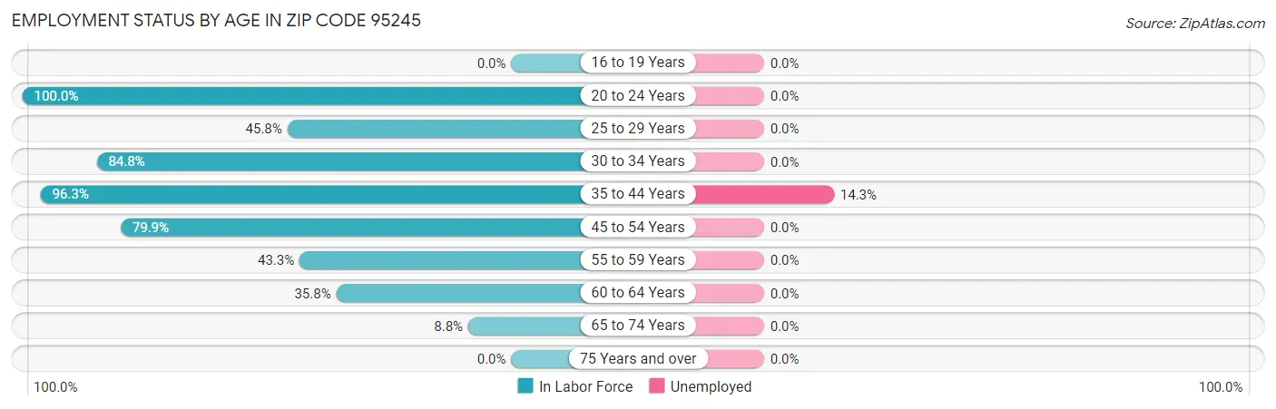 Employment Status by Age in Zip Code 95245