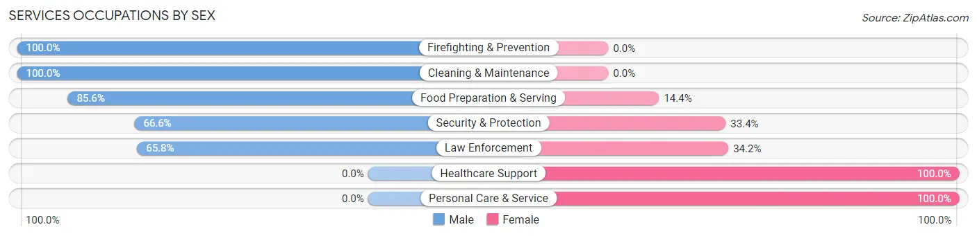 Services Occupations by Sex in Zip Code 95249