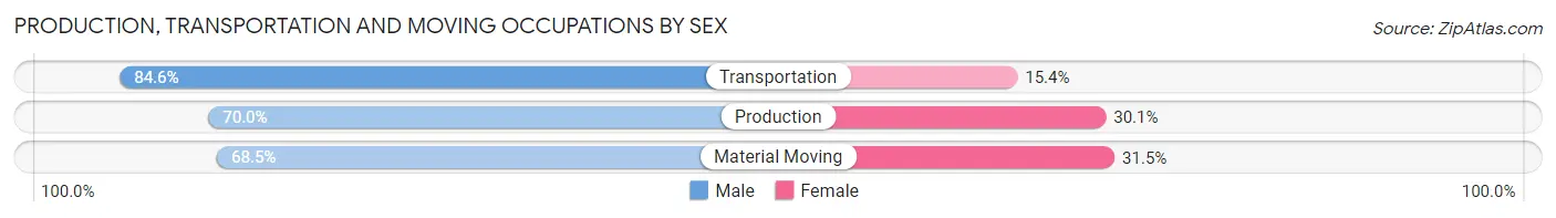 Production, Transportation and Moving Occupations by Sex in Zip Code 95304
