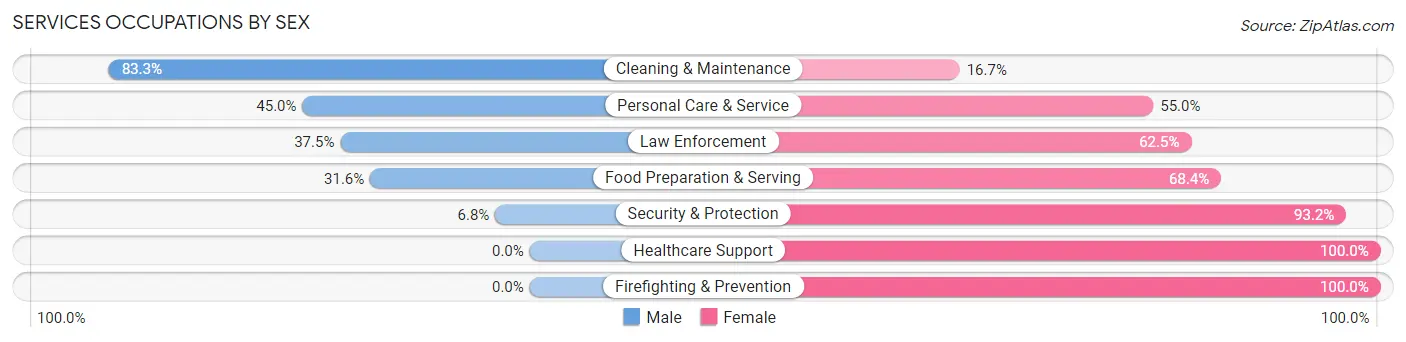 Services Occupations by Sex in Zip Code 95311