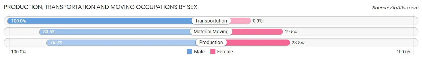 Production, Transportation and Moving Occupations by Sex in Zip Code 95391