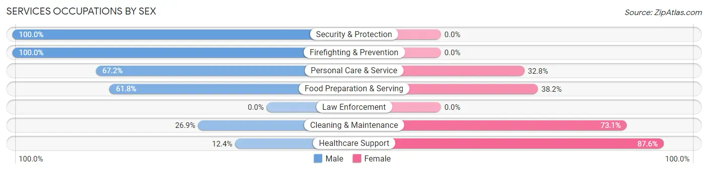 Services Occupations by Sex in Zip Code 95391