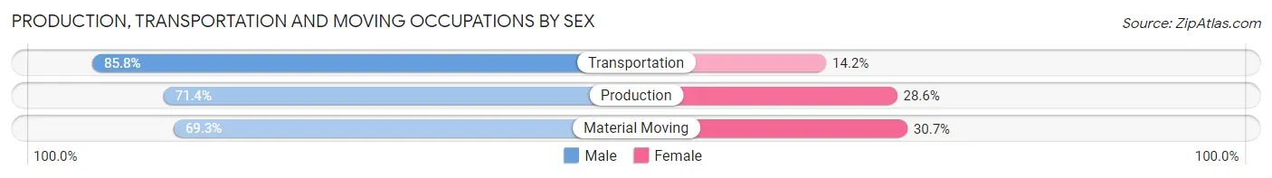 Production, Transportation and Moving Occupations by Sex in Zip Code 95618