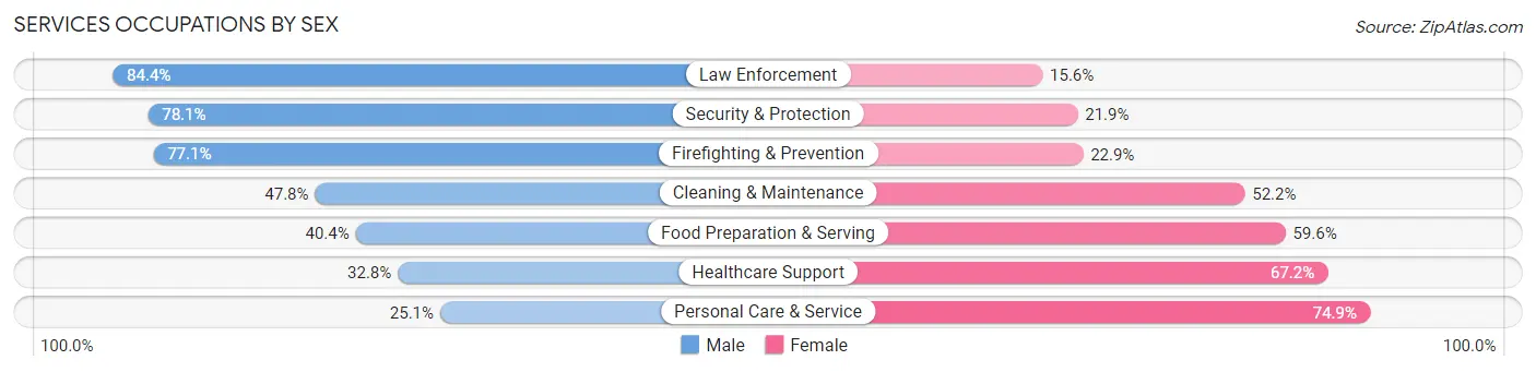 Services Occupations by Sex in Zip Code 95618