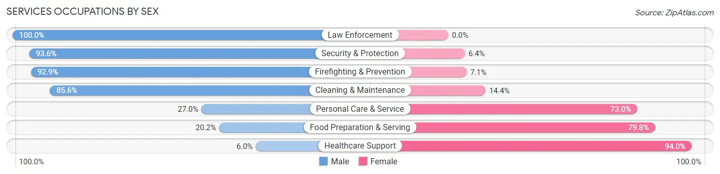 Services Occupations by Sex in Zip Code 95673