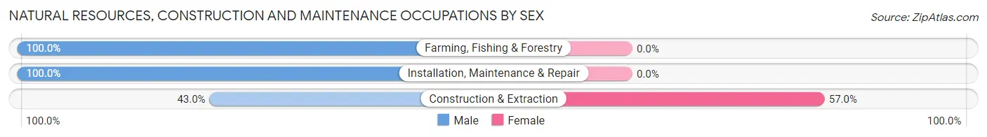 Natural Resources, Construction and Maintenance Occupations by Sex in Zip Code 95811