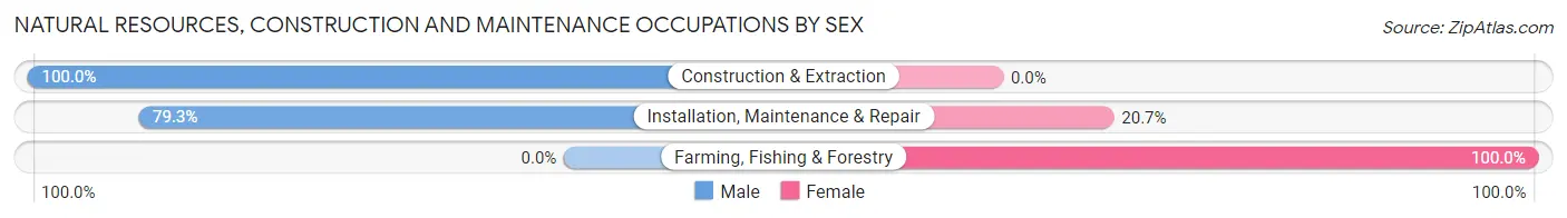 Natural Resources, Construction and Maintenance Occupations by Sex in Zip Code 95817