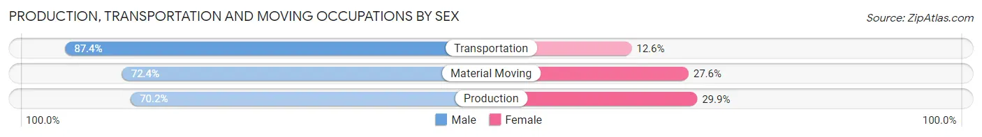 Production, Transportation and Moving Occupations by Sex in Zip Code 95828