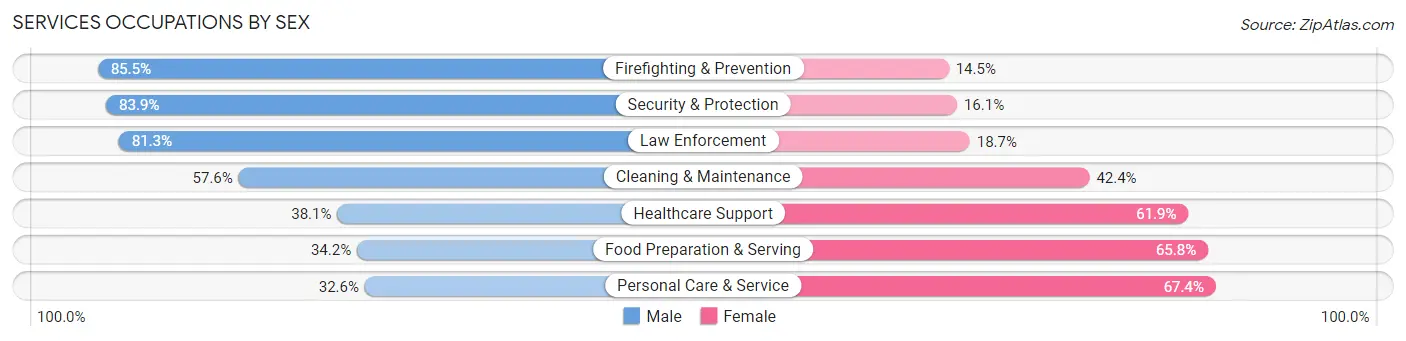 Services Occupations by Sex in Zip Code 95833