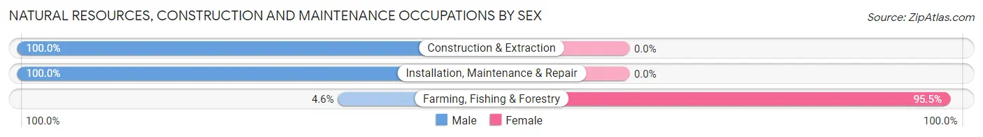 Natural Resources, Construction and Maintenance Occupations by Sex in Zip Code 96022