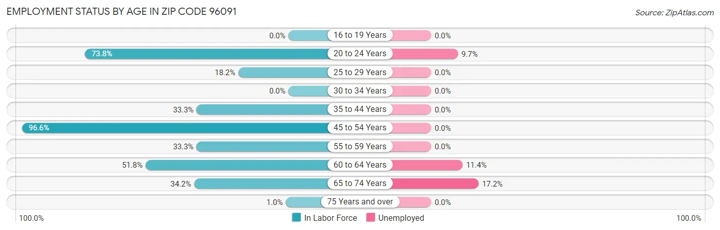 Employment Status by Age in Zip Code 96091