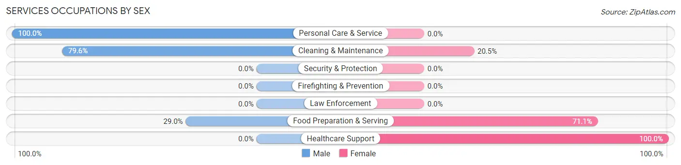 Services Occupations by Sex in Zip Code 96142