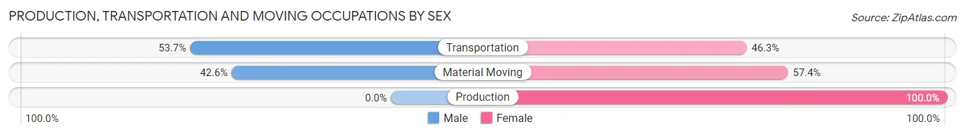 Production, Transportation and Moving Occupations by Sex in Zip Code 96704