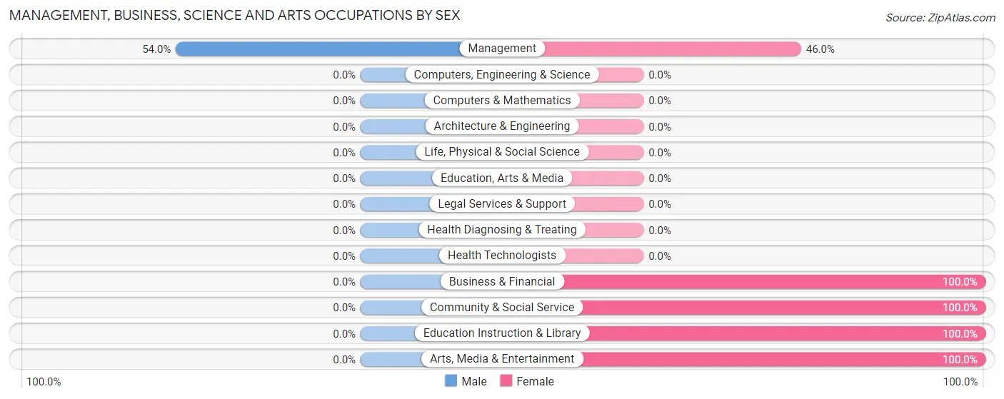 Management, Business, Science and Arts Occupations by Sex in Zip Code 96713