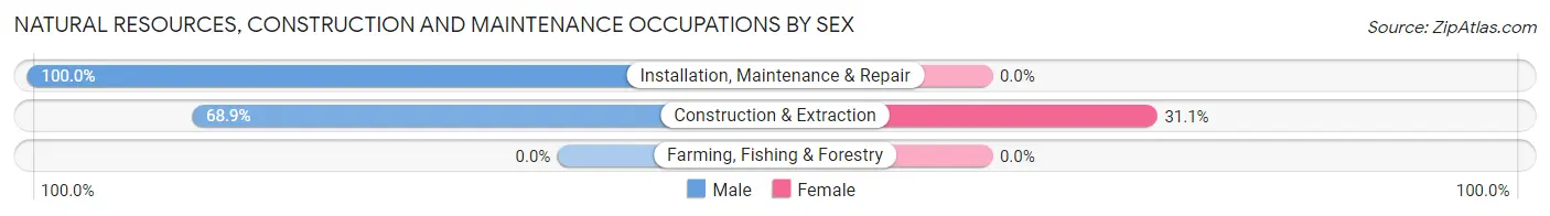 Natural Resources, Construction and Maintenance Occupations by Sex in Zip Code 96713