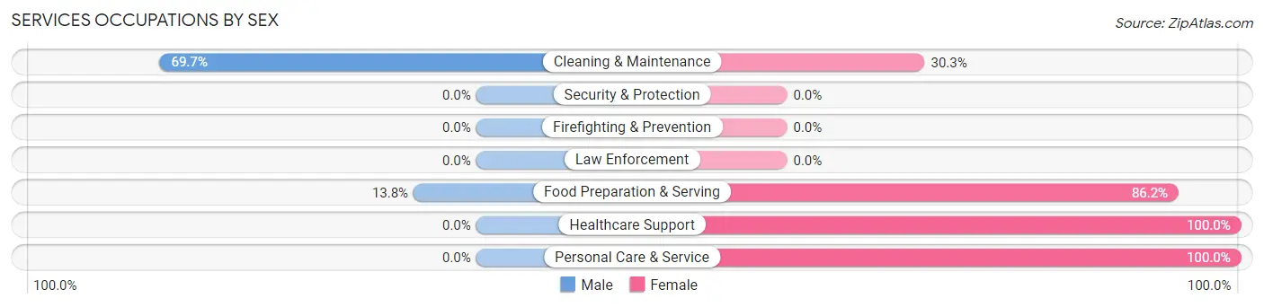 Services Occupations by Sex in Zip Code 96713