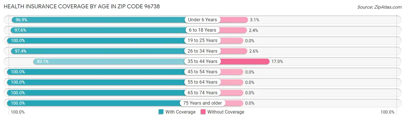 Health Insurance Coverage by Age in Zip Code 96738