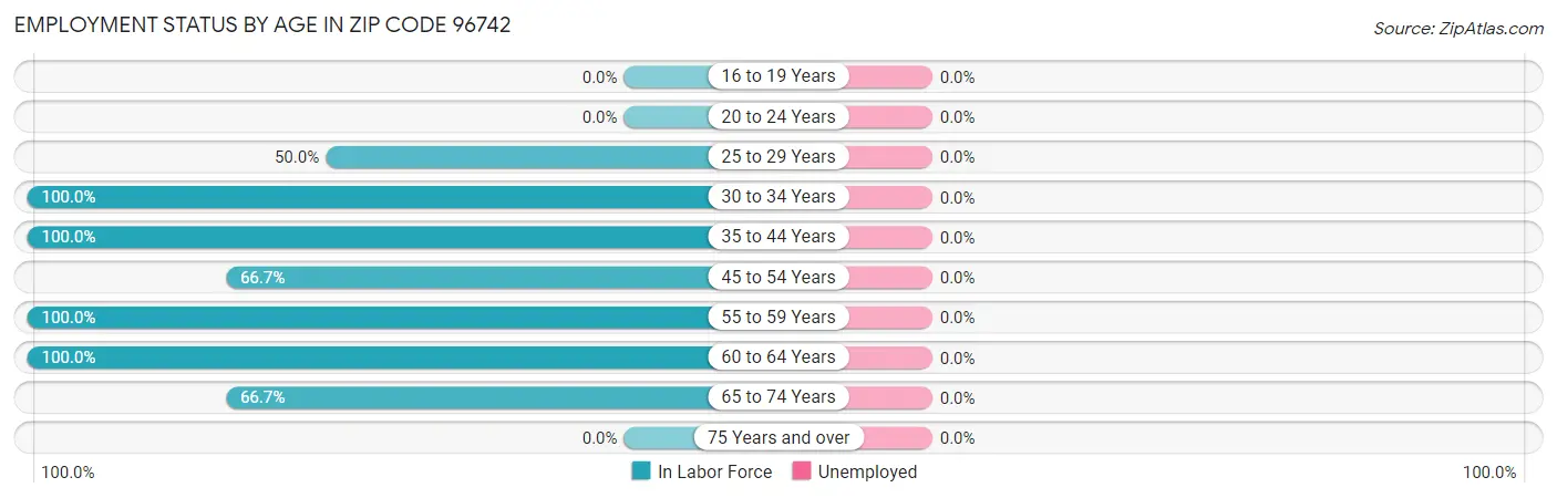 Employment Status by Age in Zip Code 96742