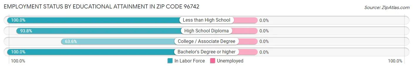 Employment Status by Educational Attainment in Zip Code 96742