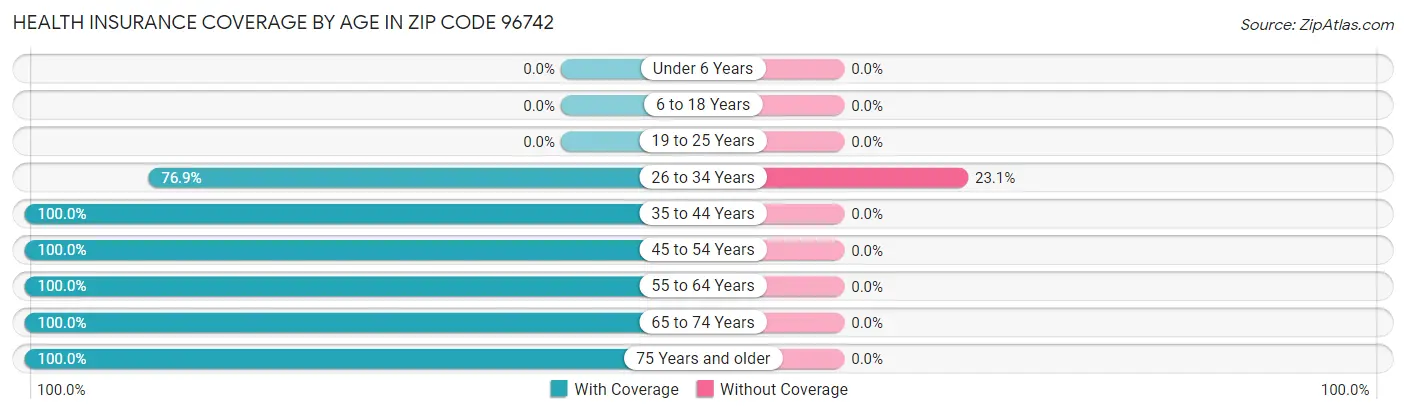 Health Insurance Coverage by Age in Zip Code 96742