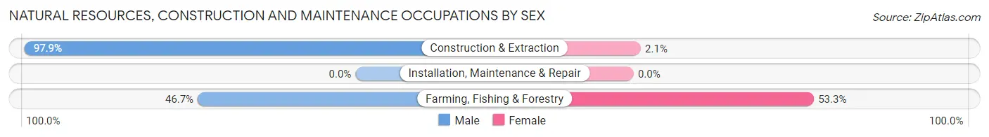 Natural Resources, Construction and Maintenance Occupations by Sex in Zip Code 96754