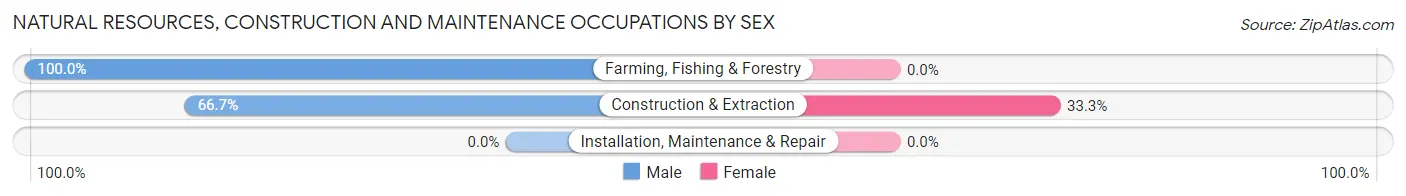 Natural Resources, Construction and Maintenance Occupations by Sex in Zip Code 96770