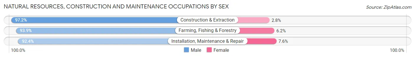 Natural Resources, Construction and Maintenance Occupations by Sex in Zip Code 96792
