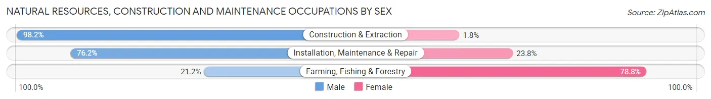 Natural Resources, Construction and Maintenance Occupations by Sex in Zip Code 96818